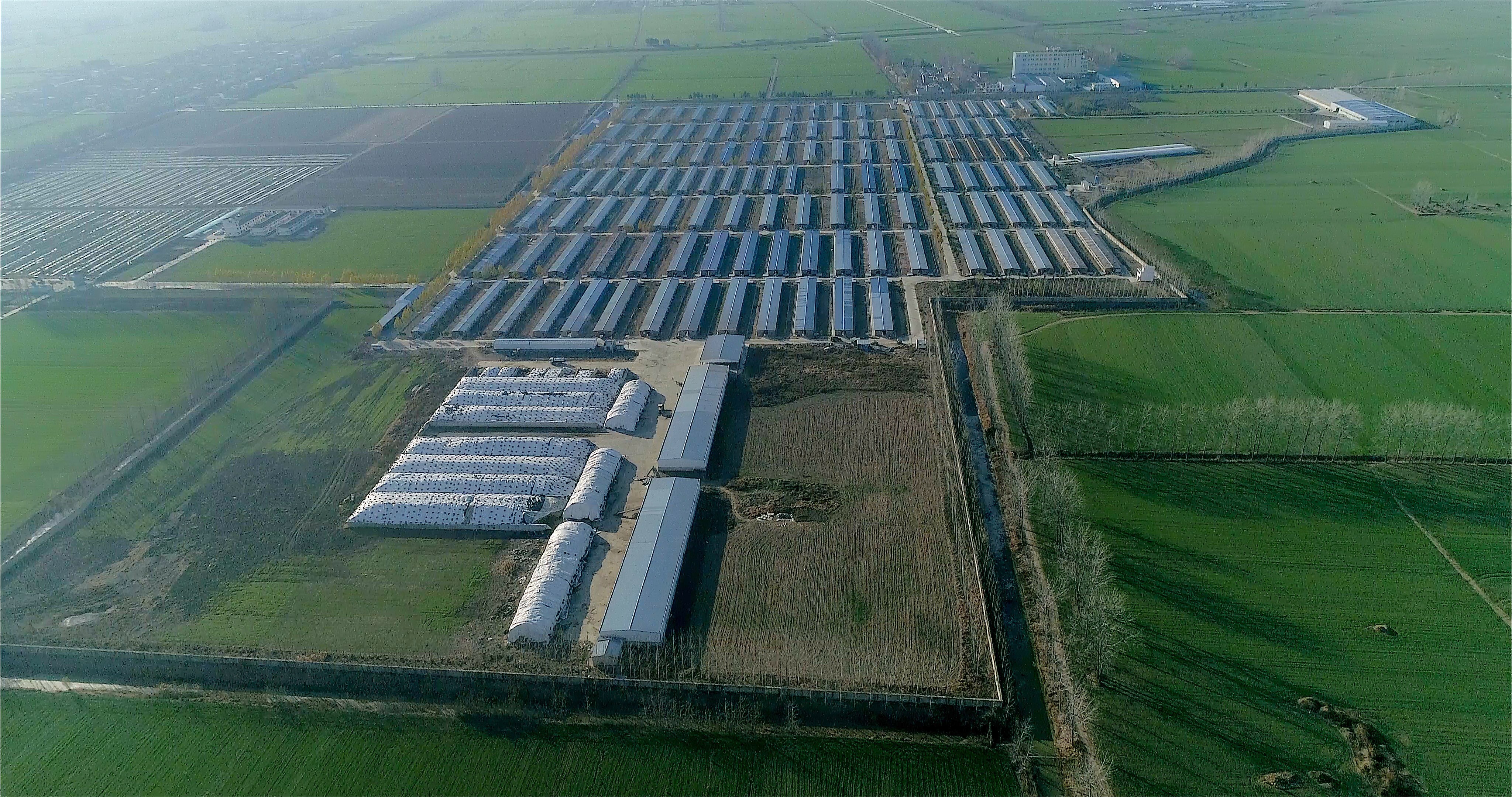 1685948184888492.jpg 01.jpg