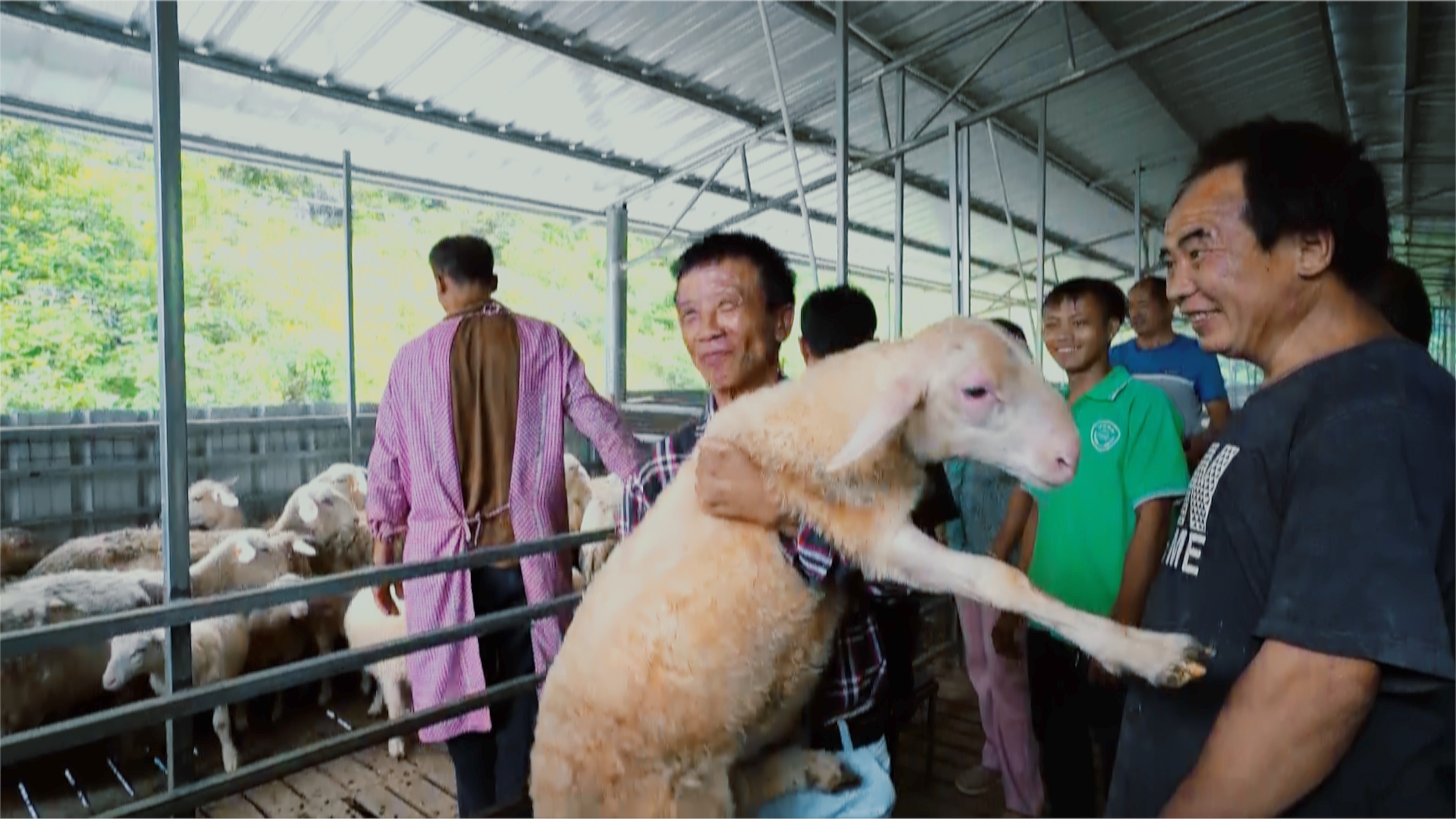 1685948546526492.jpg 照片47.jpg